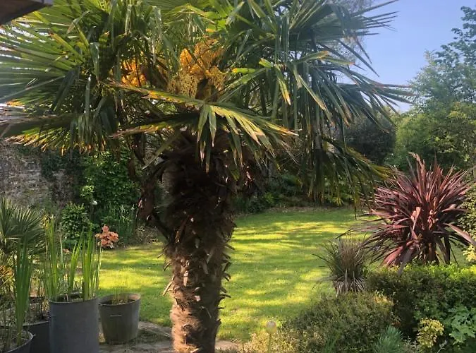 Mon Plaisir De Carteret * Barneville-Carteret